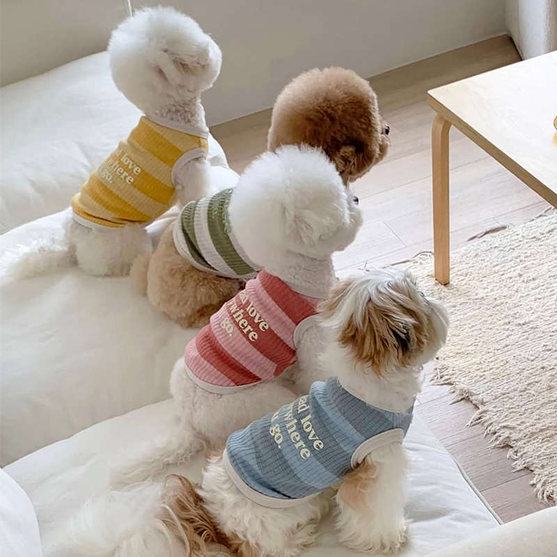 犬服 愛犬へのメッセージ入りボーダーＴシャツ