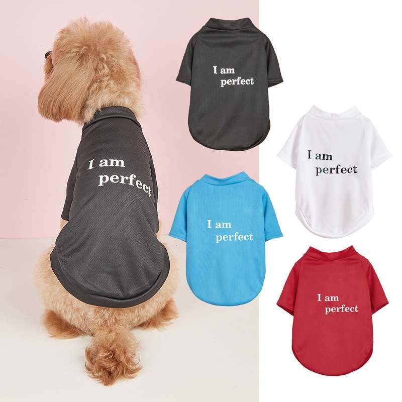 犬服  自信満々ペット用Tシャツ