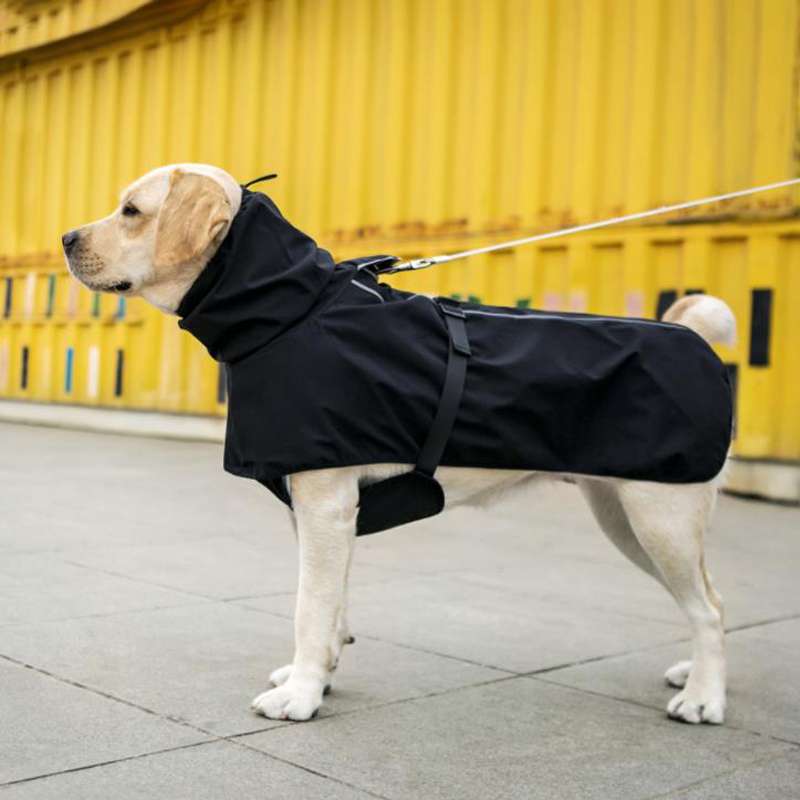 犬服  中型犬用オールシーズンレインコート