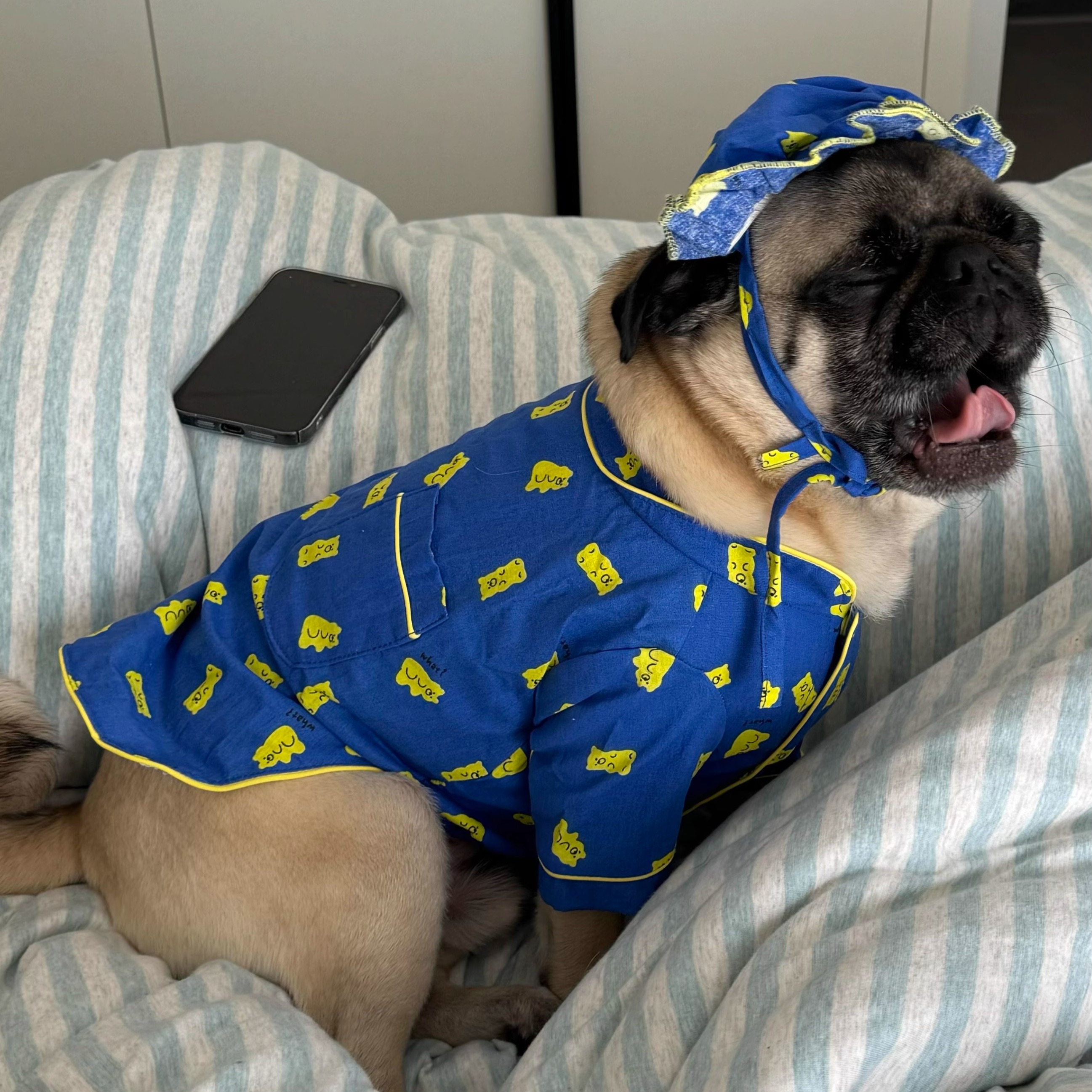 犬服 おやすみ帽子付きパジャマセット
