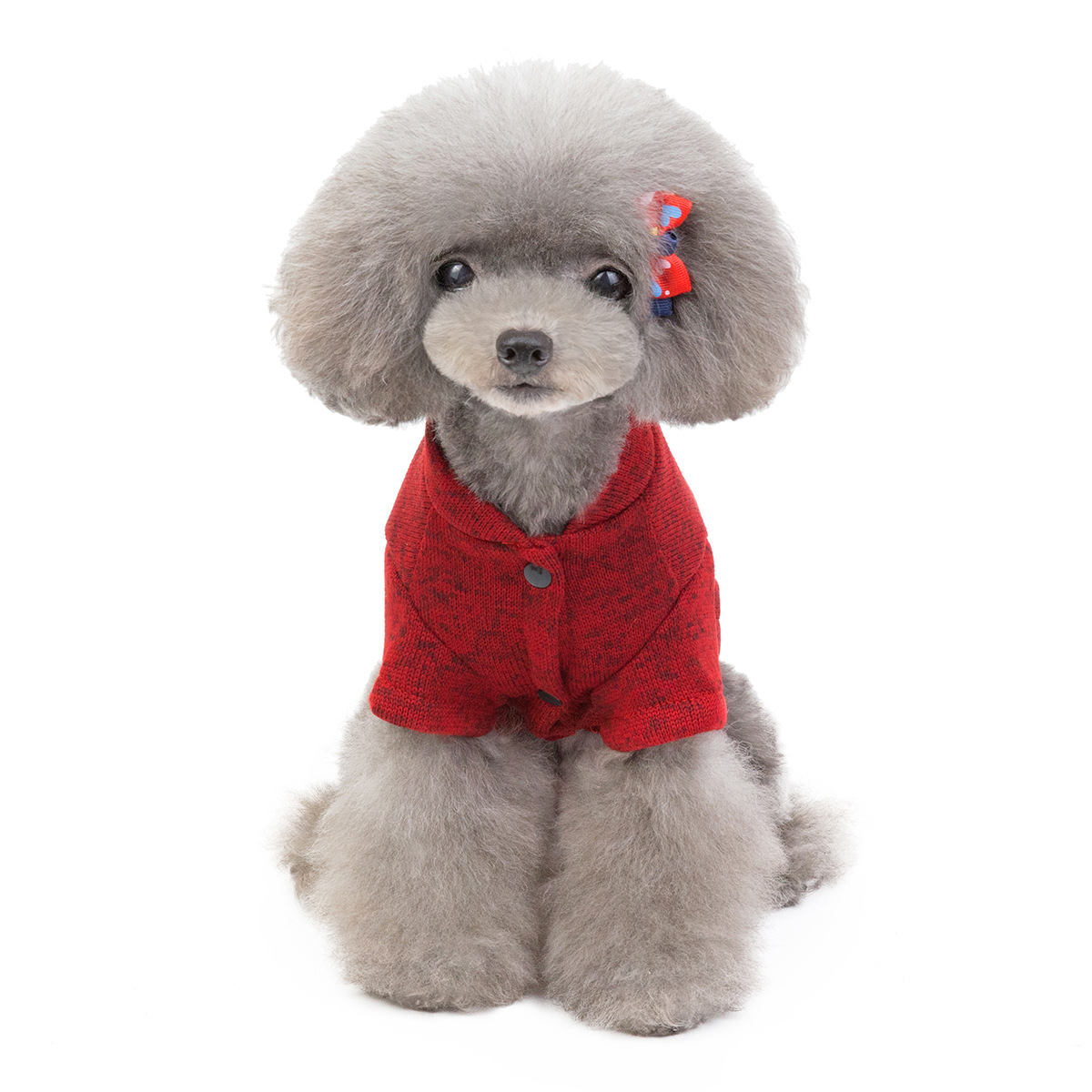 犬服 眼鏡とキャップ柄のカジュアルメッセージトレーナー