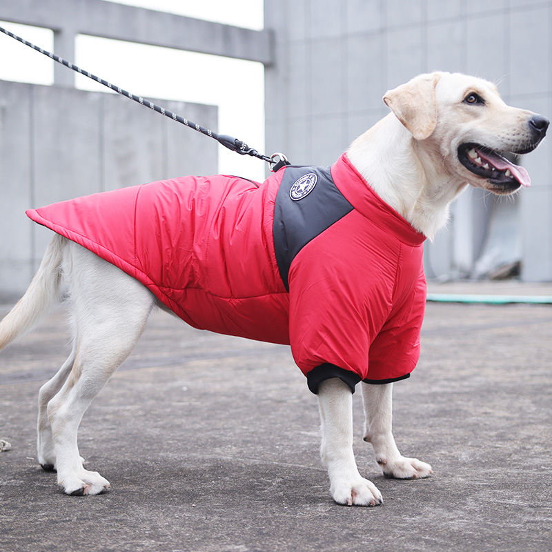 犬服 大型犬用縁起物柄中綿入り防寒ジャケット