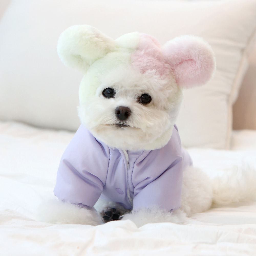 犬服 ふわもこくまさんダウンジャケット