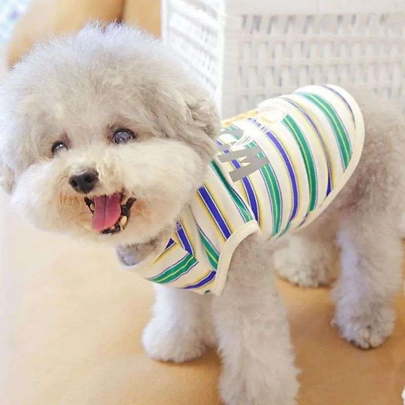 犬服  ふわもこプードル用ボーダーTシャツ