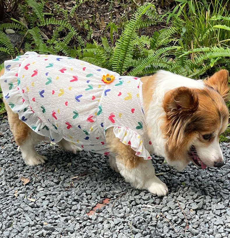 犬服  ふんわりフリル小型犬用ワンピース