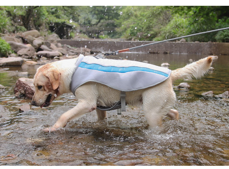 犬服 ひんやり涼感アウトドアベスト
