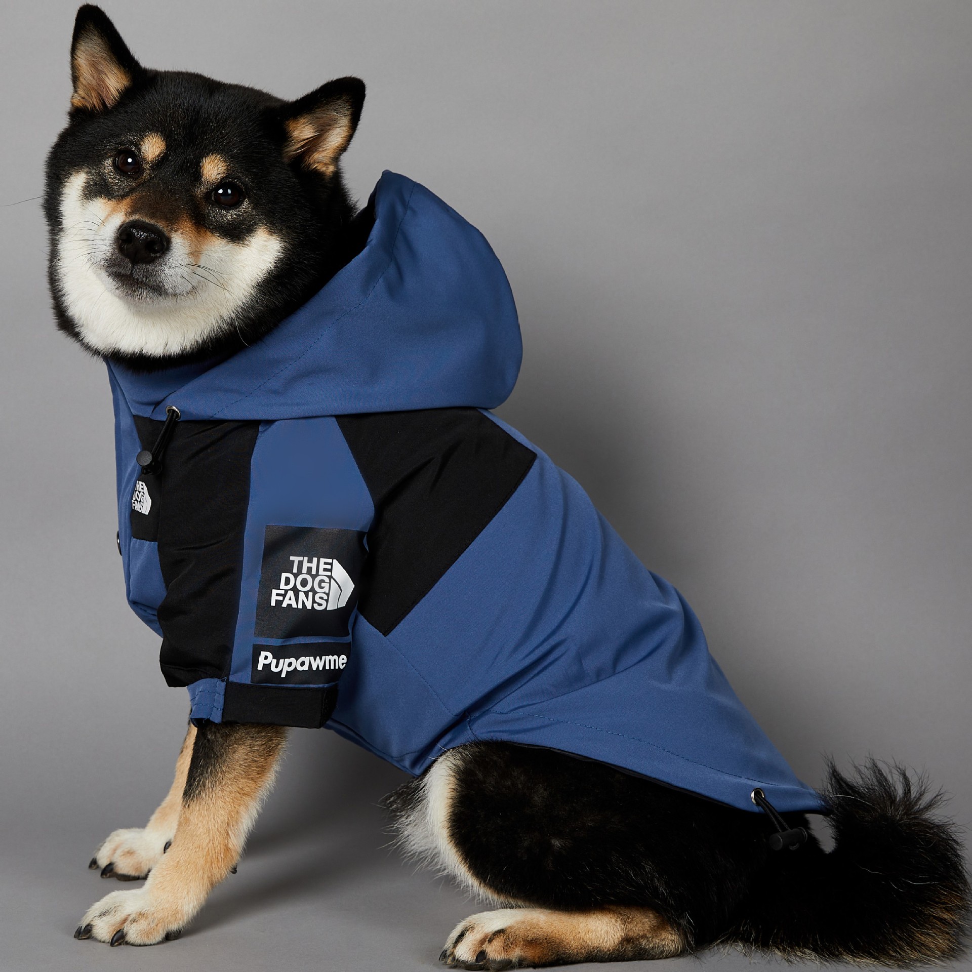 https://fulmo-img-server.com/perry-dog/d98506ec-f50e-45f6-87d8-e18512407635.jpg