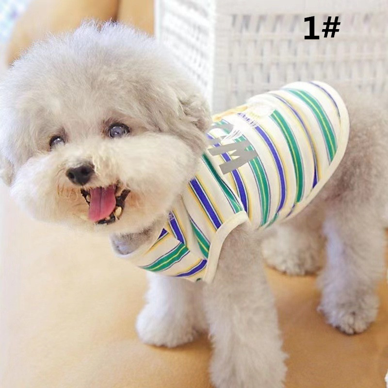 https://fulmo-img-server.com/perry-dog/da33cc25-0d39-45cc-96cf-bfbeb629f879.jpg