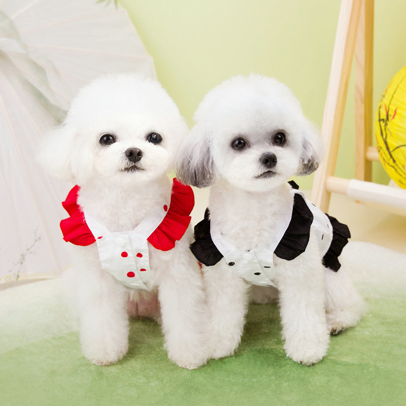 https://fulmo-img-server.com/perry-dog/da91b200-c88b-4961-b38c-b4322eb4368c.jpg