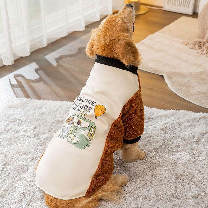 https://fulmo-img-server.com/perry-dog/dadc19d5c771445ea4c9574b4023f23d.jpg