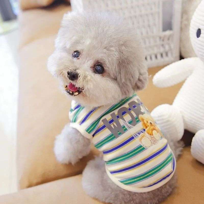 犬服  ふわもこプードル用ボーダーTシャツ