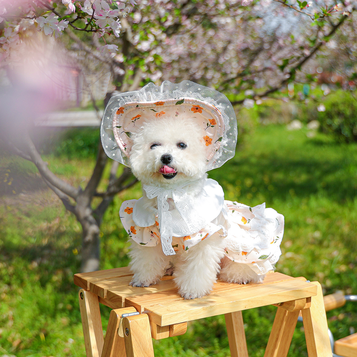 犬服 花園お姫様ワンピースと帽子セット