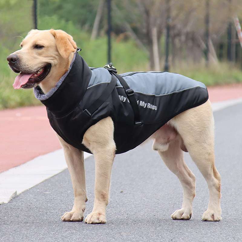 犬服 全天候型アウトドア犬用ジャケット