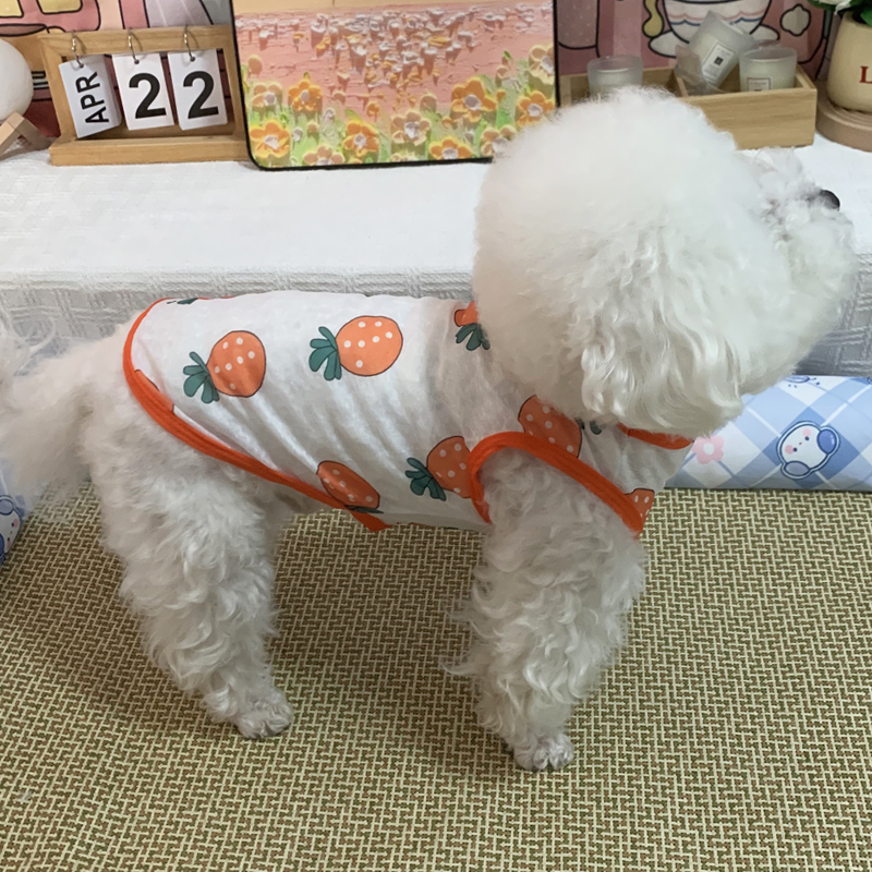 犬服 夏果実さわやかノースリーブ