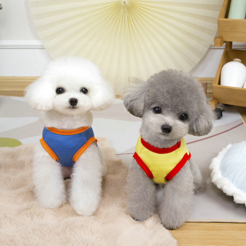 https://fulmo-img-server.com/perry-dog/dcf26f9e-f615-4834-9fef-57166c28f849.jpg