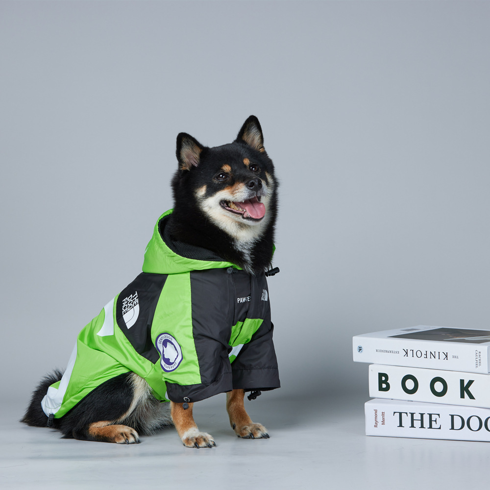 https://fulmo-img-server.com/perry-dog/dddb7c8a-273f-4fb9-b4d7-5cf3cbf39e86.jpg