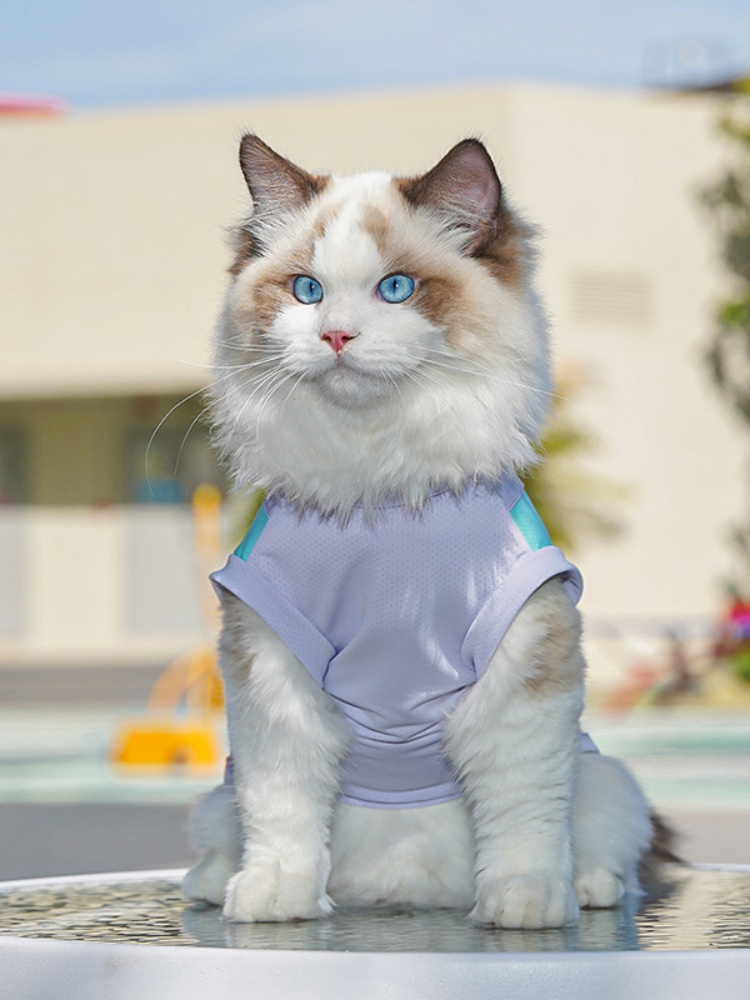 犬服 爽やか涼感スポーツタンクトップ
