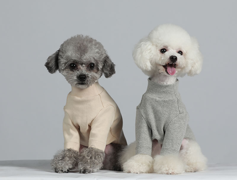 犬服 上品なハートワンポイント付き長袖ニット