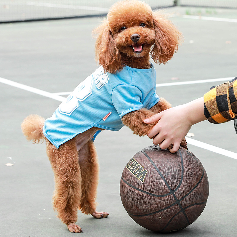 犬服 運動番号プリント半袖犬用Tシャツ