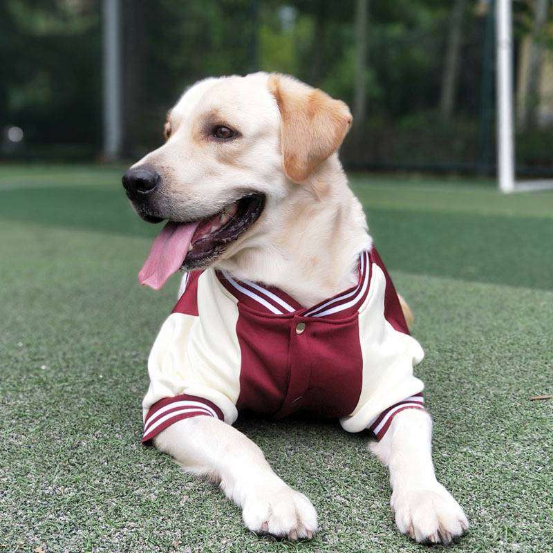 犬服  スポーティ大型犬用ジャージ