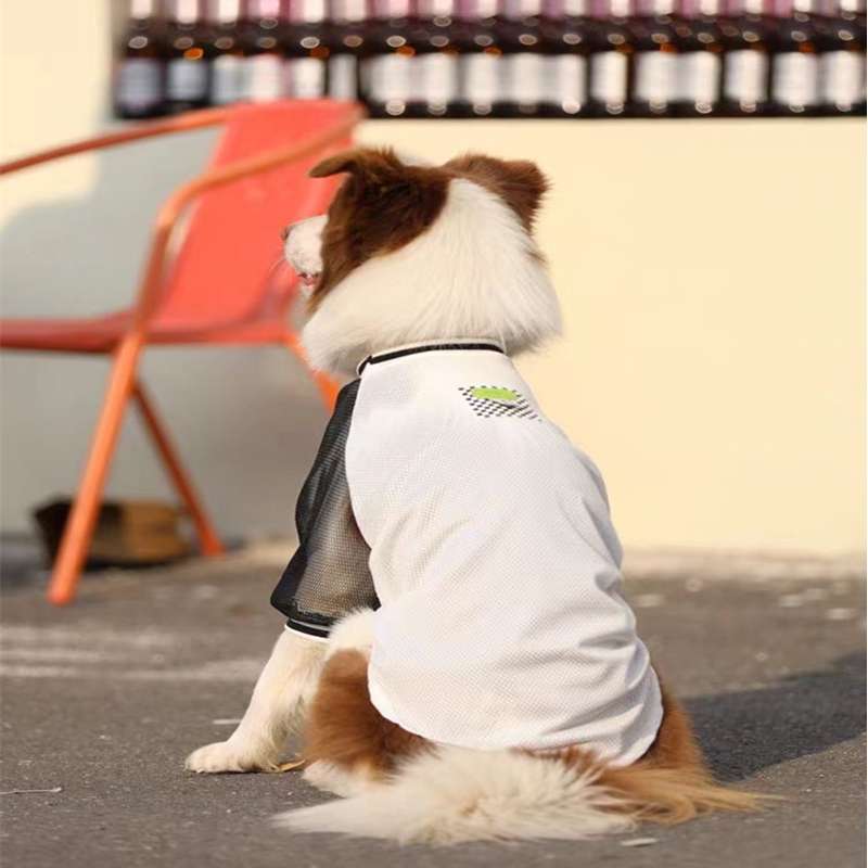 犬服  スポーティーメッシュTシャツ