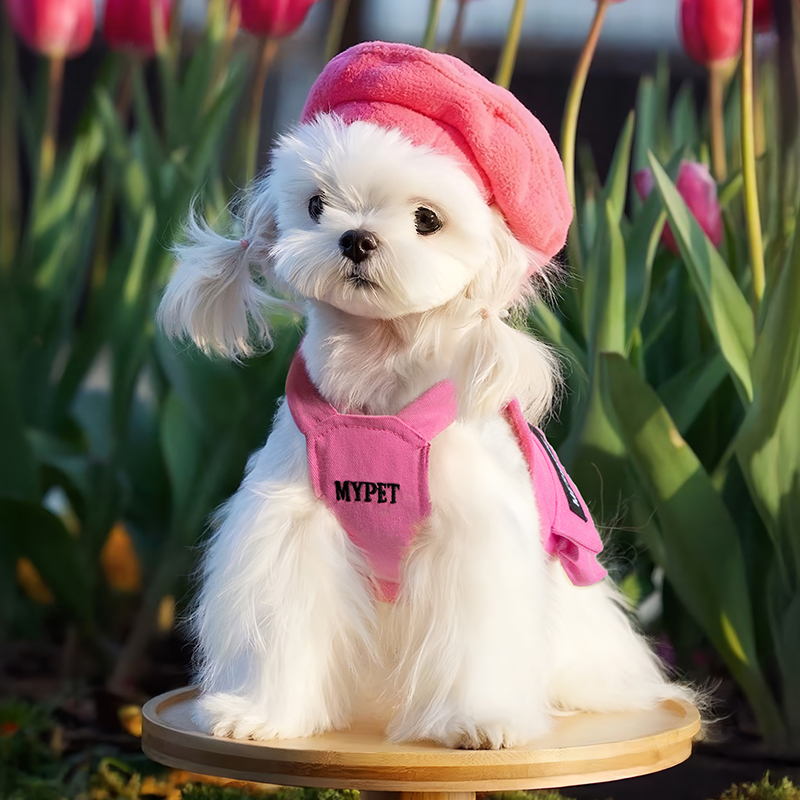 犬服 お散歩アーティストタンクトップ