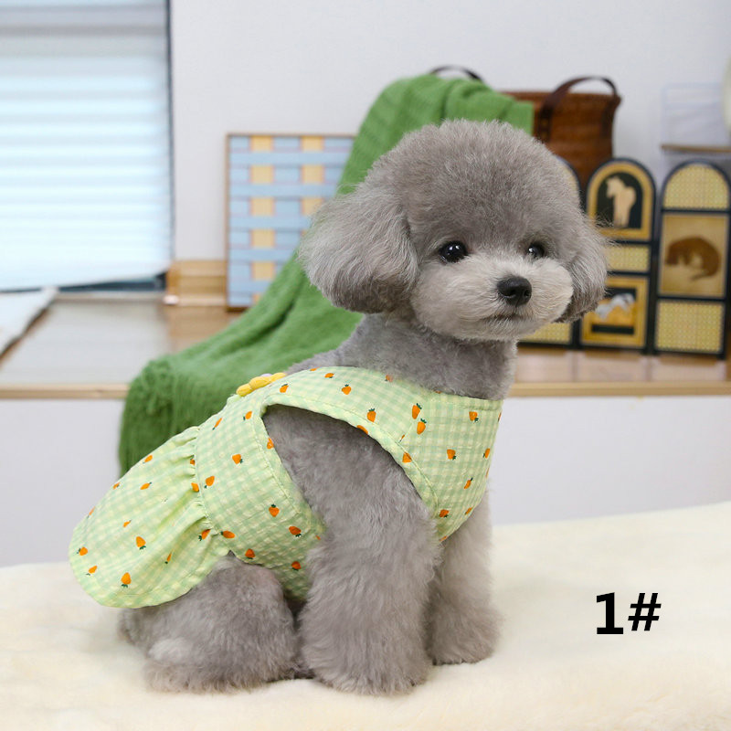 https://fulmo-img-server.com/perry-dog/e239bf85-71ea-4eaf-82eb-dfa305097d67.jpg