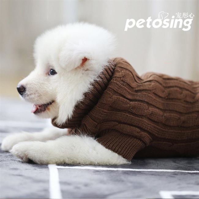 犬服 ケーブル編みタートルネックニット