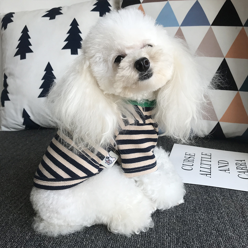 犬服 可愛らしいボーダー柄ニットセーター