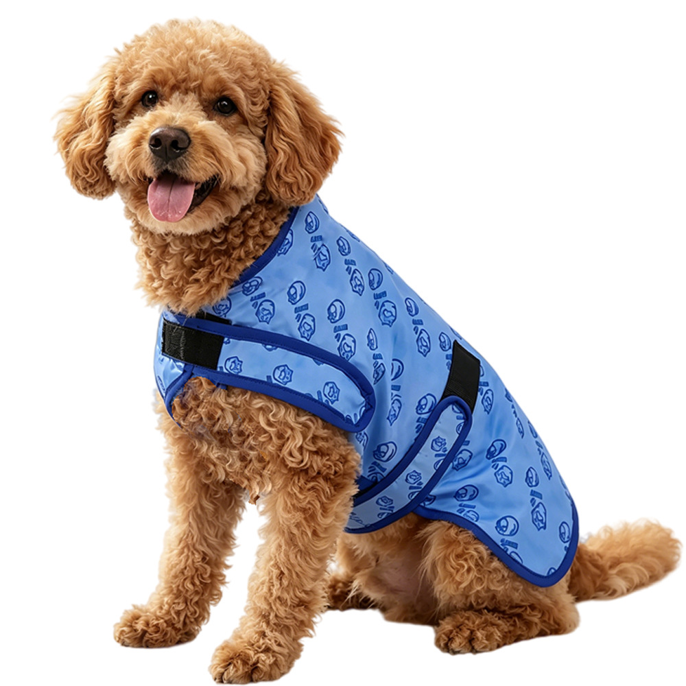 https://fulmo-img-server.com/perry-dog/e54678ec-e469-4c87-94d0-17689fe35630.jpg