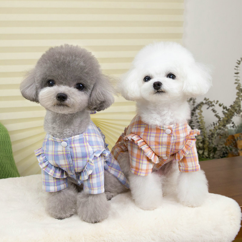 https://fulmo-img-server.com/perry-dog/e91e97a1-c031-4f8b-8a38-6043ce16439a.jpg