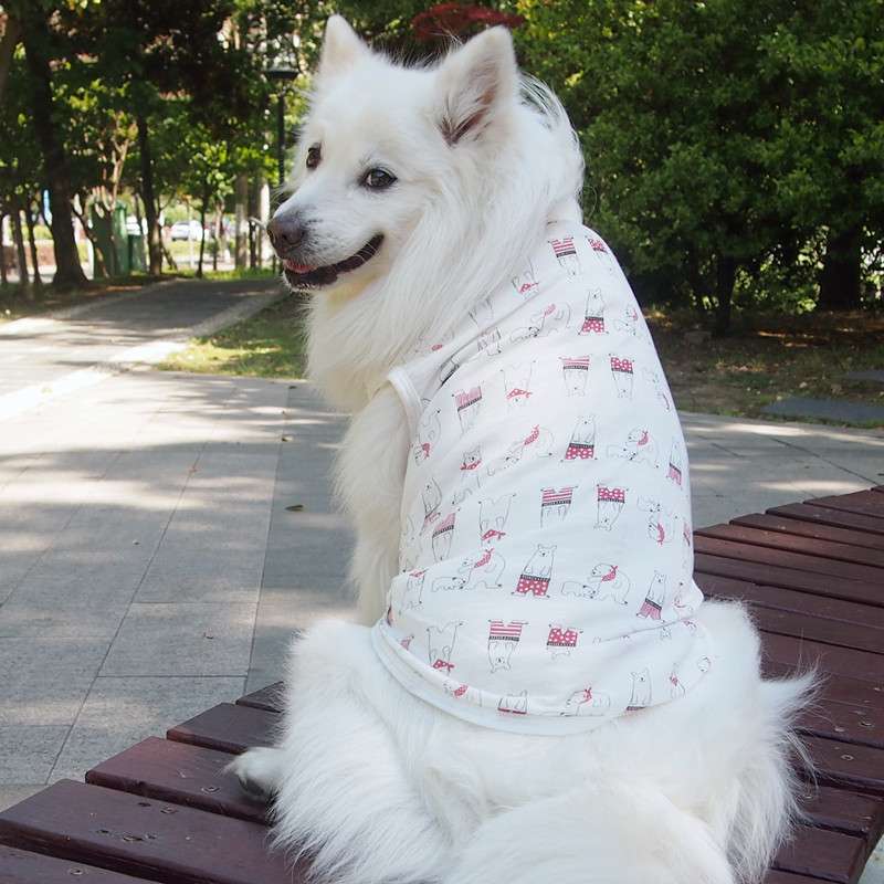 犬服  もふもふ犬のための涼やかTシャツ