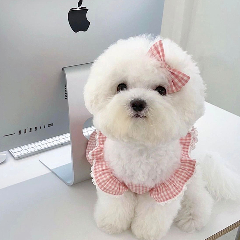 犬服 格子柄フリルレース付きワンピース