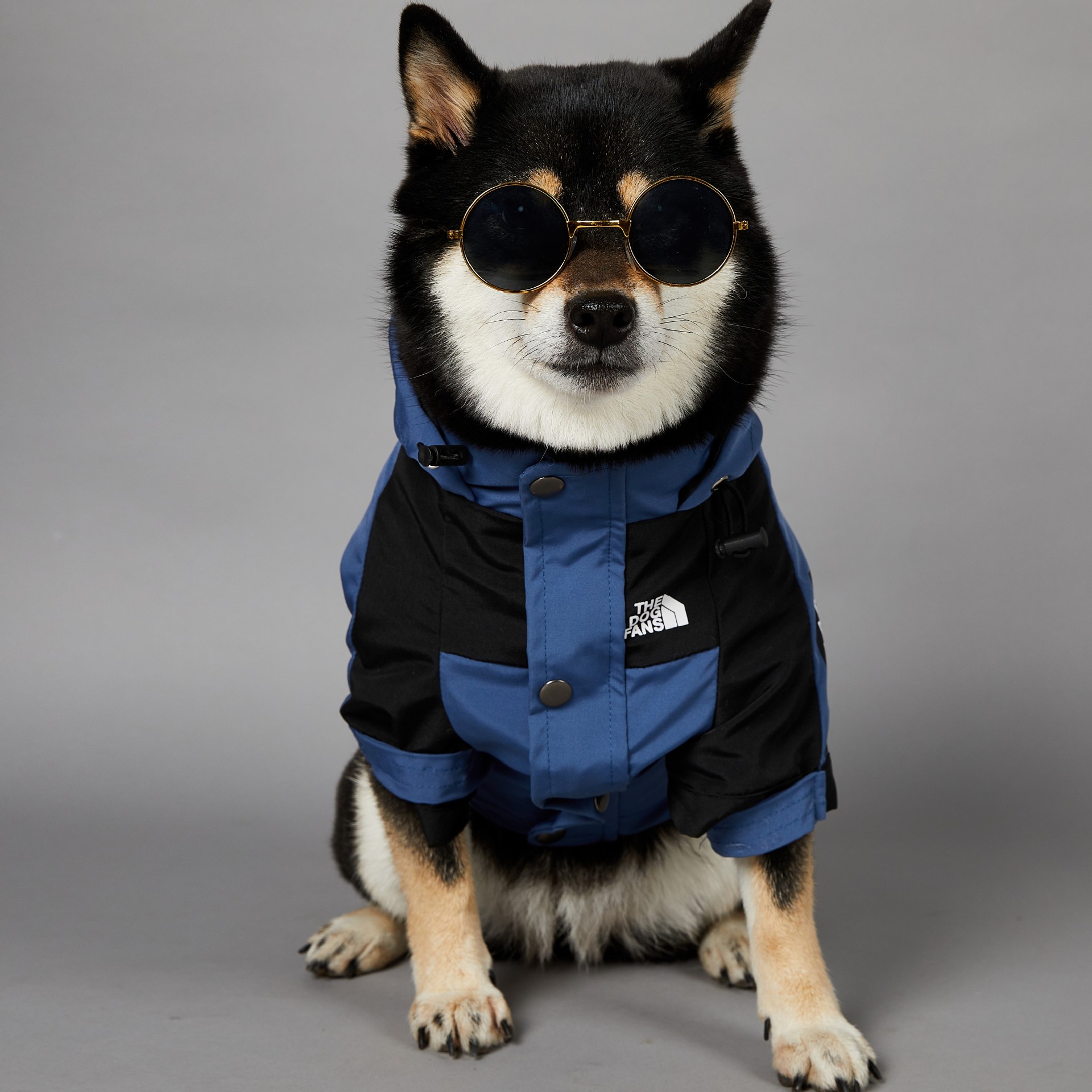 犬服 フード付き切り替えデザイン犬用防水レインコート