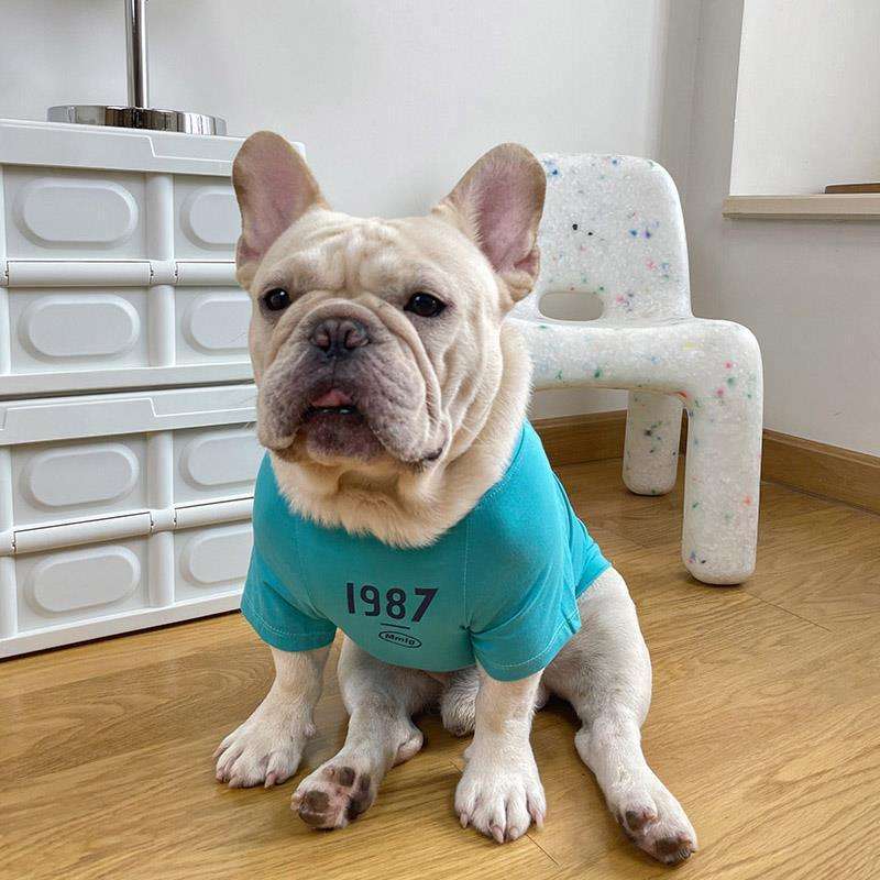 犬服  レトロ調Tシャツ