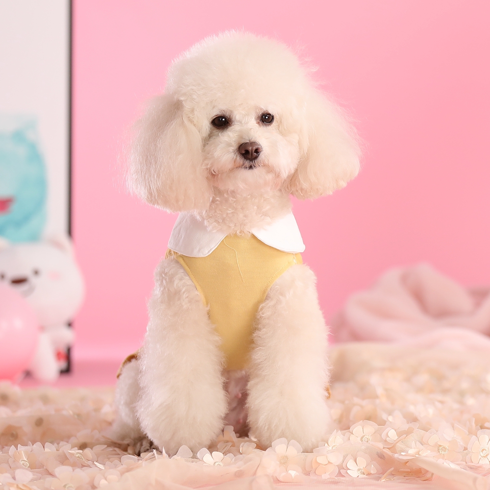 丸襟付き花柄袖切替ワンピース型犬服