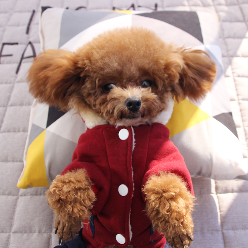 菱形模様のもこもこフード付き四脚犬服