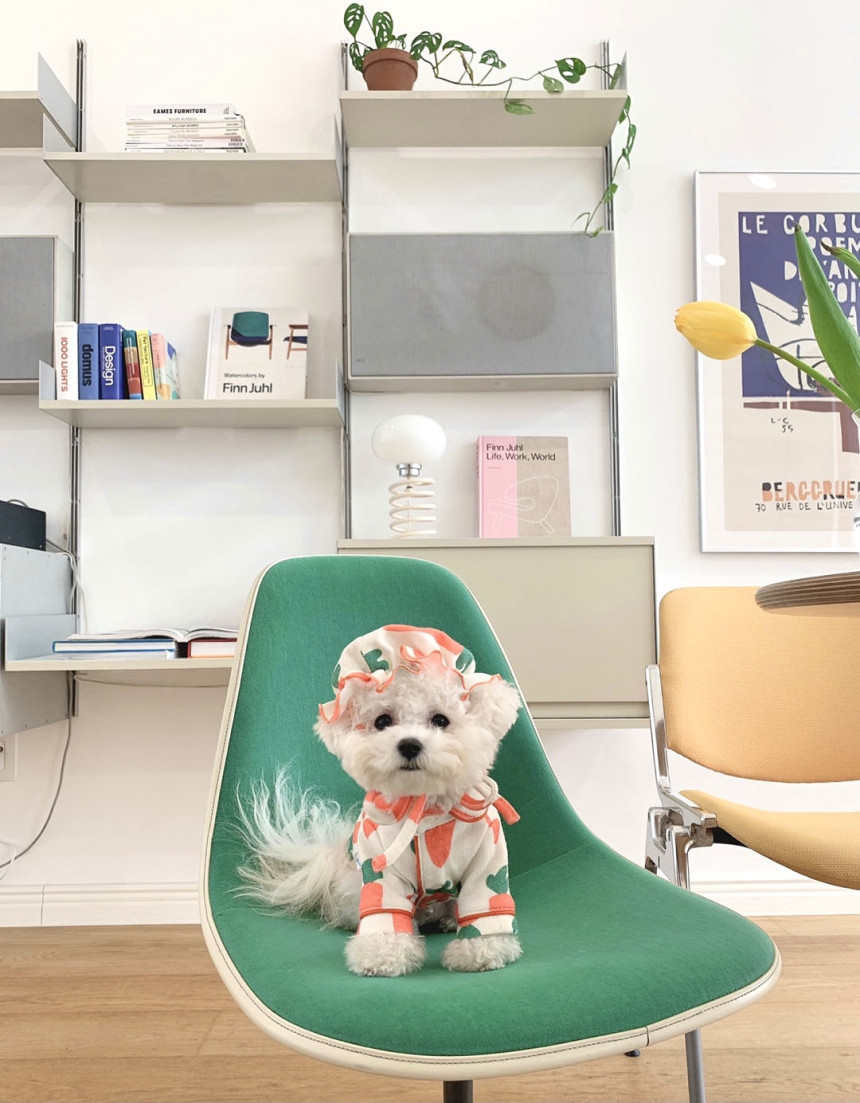 犬服 ふわもこ野菜パターンパジャマ