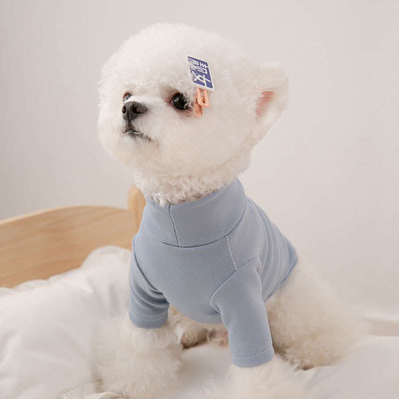 https://fulmo-img-server.com/perry-dog/eea63475a8114d3991b2ffea6641d672.jpg