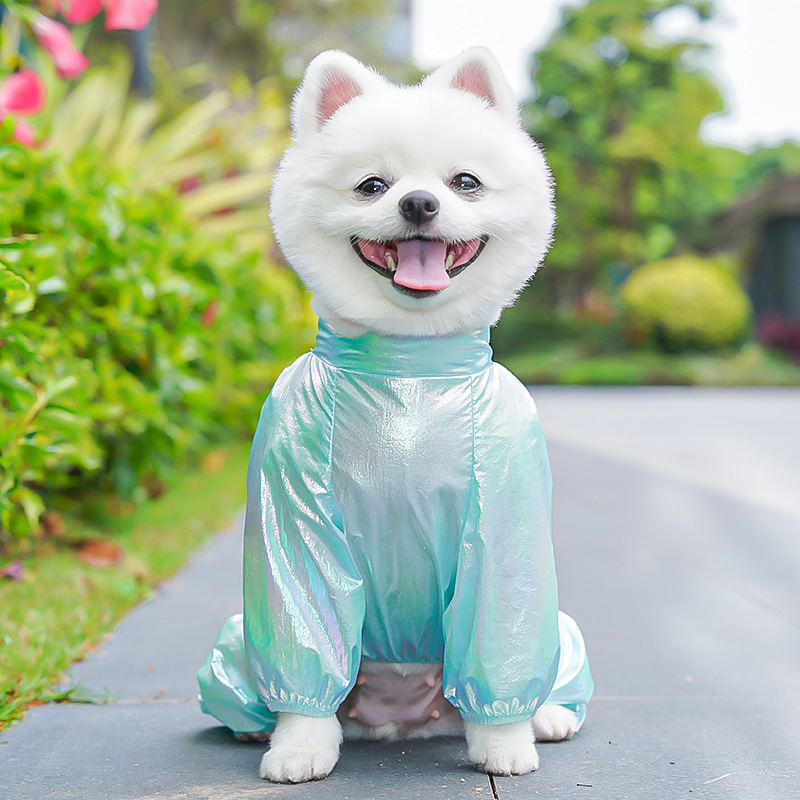 https://fulmo-img-server.com/perry-dog/efc1ad96-e53b-4cd7-834a-41cd67c65f16.jpg