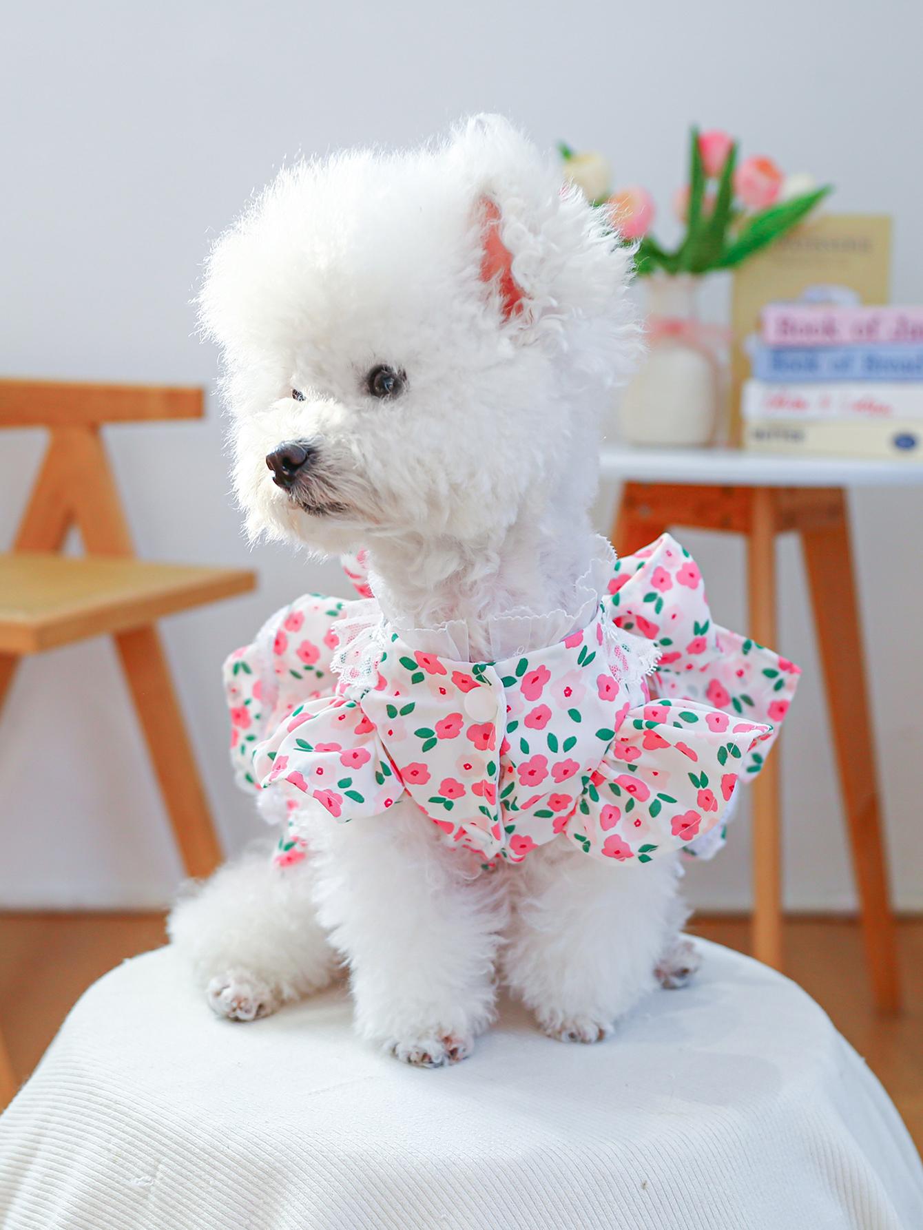 犬服 花園姫フリルワンピース