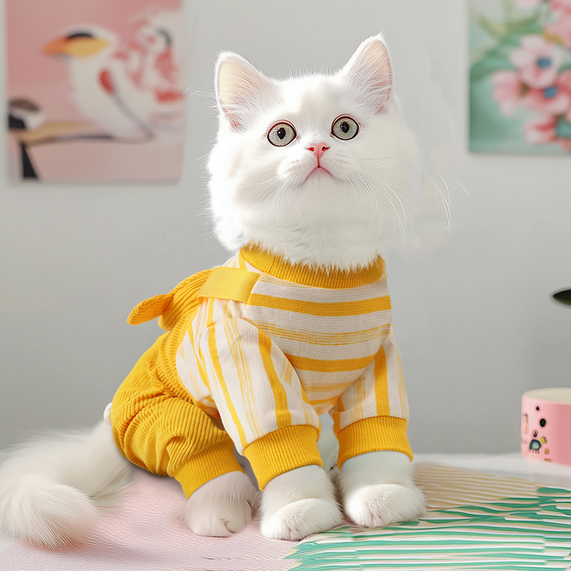 犬服 まんまるお顔のぬいぐるみニット