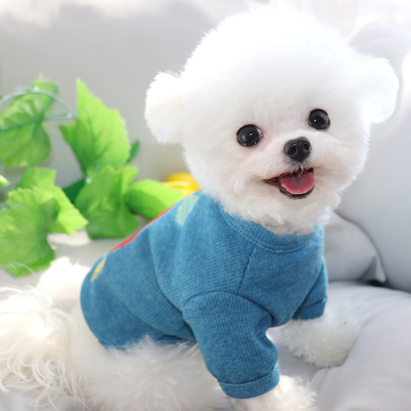 https://fulmo-img-server.com/perry-dog/f07f3e15-f2f7-4a1d-bbda-5e12f53f67ce.jpg
