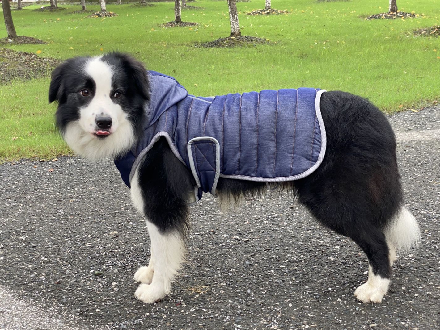 犬服 中型犬から大型犬用キルティング防寒ダウンジャケット