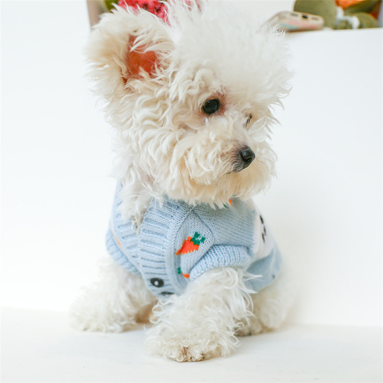 https://fulmo-img-server.com/perry-dog/f190c0c7-3d29-497e-9aed-4760a869c16a.jpg