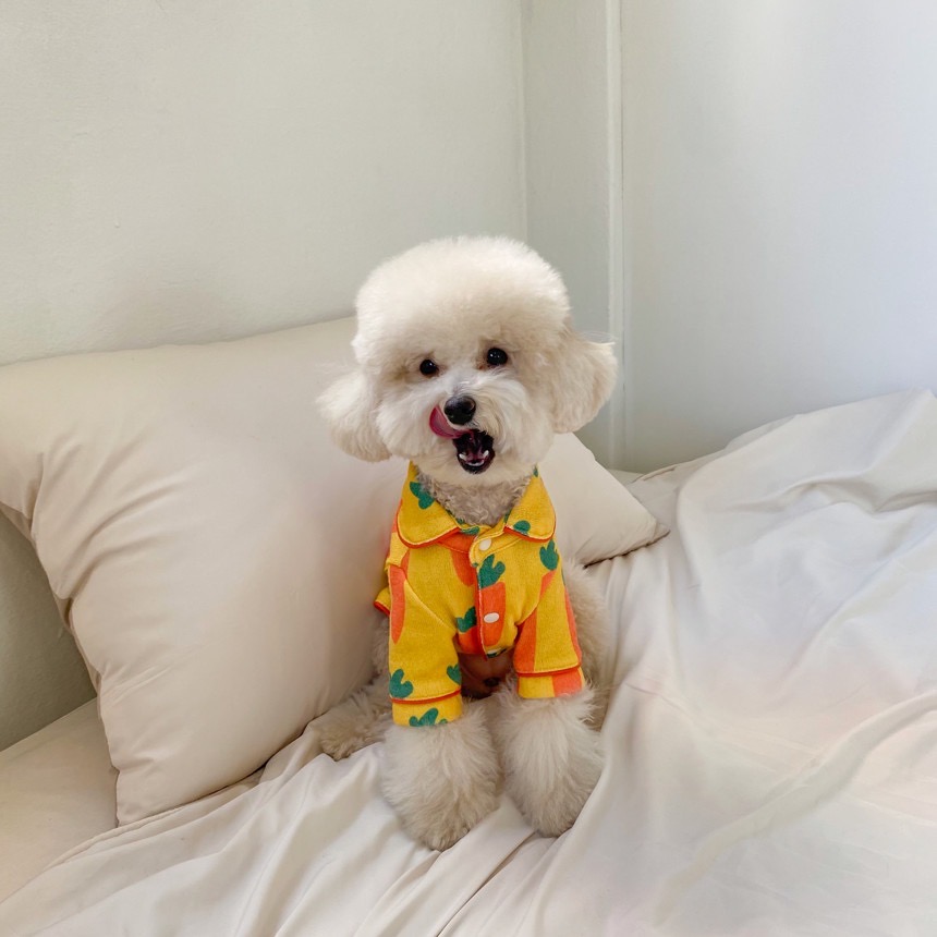 犬服 ふわもこ野菜パターンパジャマ