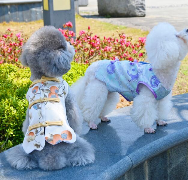https://fulmo-img-server.com/perry-dog/f2537690-4419-4e89-aa9c-9f4fbd3491ce.jpg