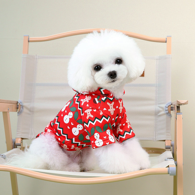 https://fulmo-img-server.com/perry-dog/f269cf23-50b7-4311-9b87-f90ed0d4335c.jpg