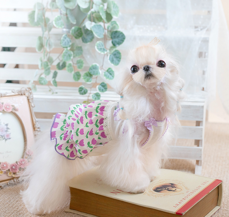 犬服 花咲く庭園 プリンセスワンピース