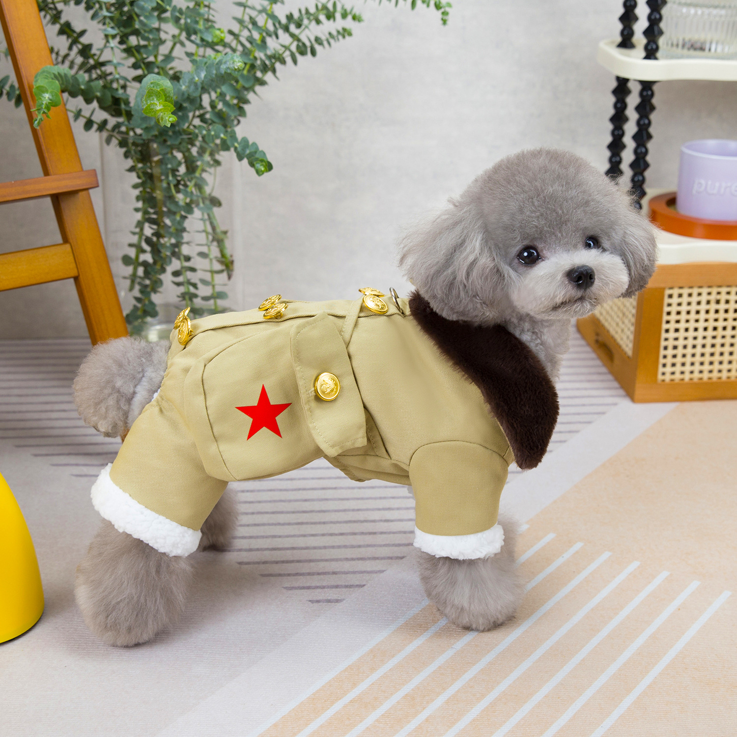 犬服 星刺繍入りダブルボタン襟付き四足犬服コート